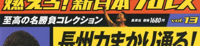 革命戦士's header image