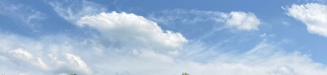 ohanareo's header image