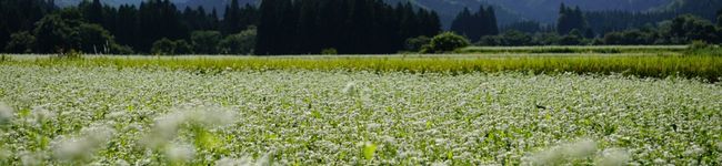 モコモコのキッチン's header image