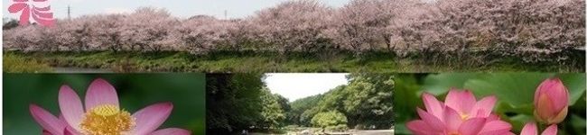 千葉市花見川区健康課's header image