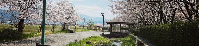 Zキト's header image