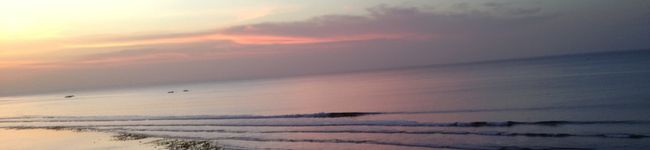 chife4410's header image