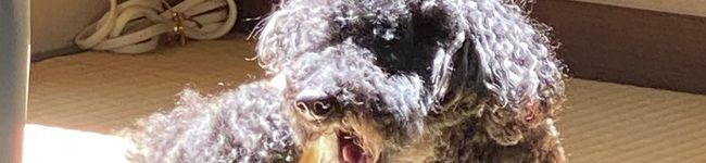 odrag0n's header image