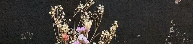 RICEBALL77's header image