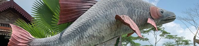 M本K's header image