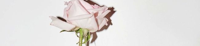n's header image