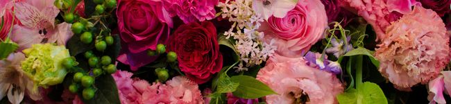 monmon1219's header image