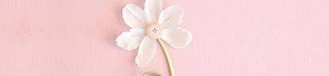 tomato33。's header image