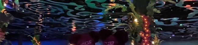 みるん♪♪'s header image