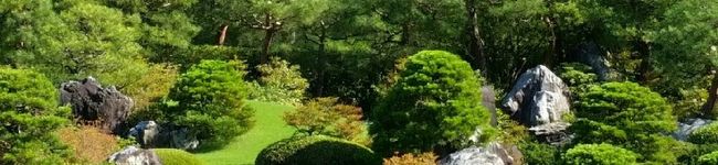 クックMayo☆'s header image