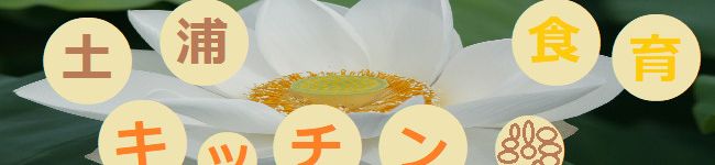 土浦市栄養士さん's header image