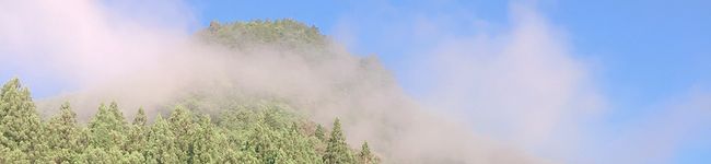 hitomiさん's header image