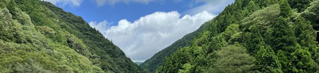 チョゴリ's header image