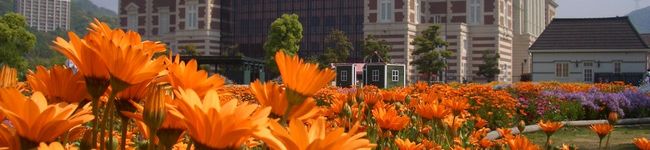 sakura99's header image