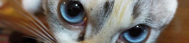 kwmchan's header image