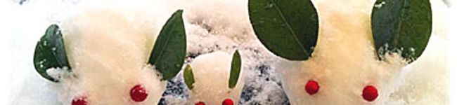 Laplace's header image