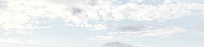 ほぎょん's header image