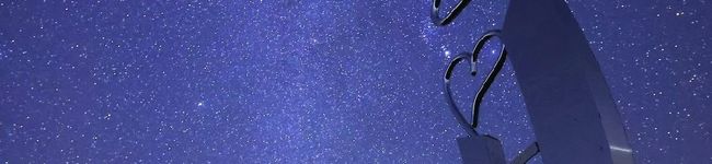 りんの気まぐれ料理's header image