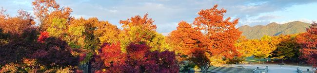 大学生男子ママゆみ's header image