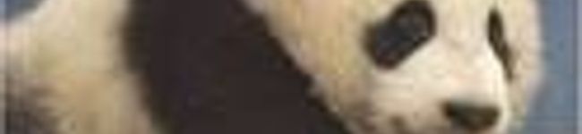 nahomix77's header image
