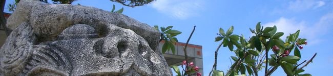 ａｃｃｏＫ's header image