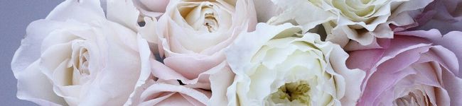 菜織実's header image
