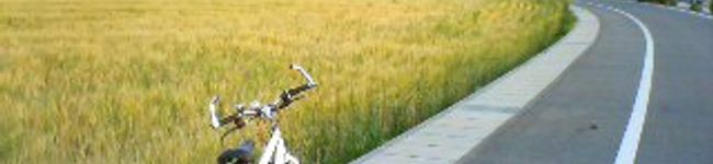 bohemianTT's header image