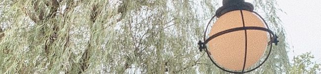 おかね㌥'s header image