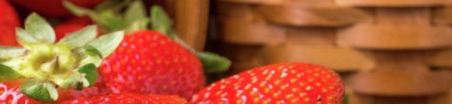 白猫たち♡'s header image