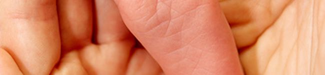 tuyet's header image