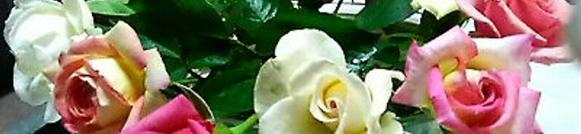 acochan7's header image