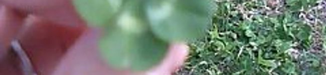 nori466's header image