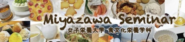 宮澤ゼミ2024's header image