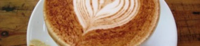 ayacowcow's header image