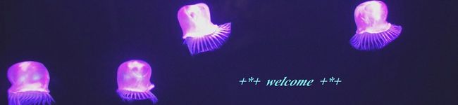 yamita's header image