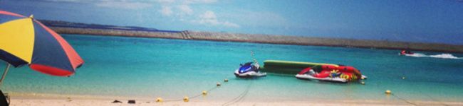 せりもん's header image