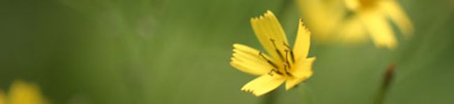 のえるパパ's header image