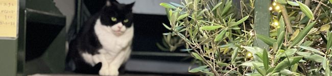 クックEP3GHL☆'s header image