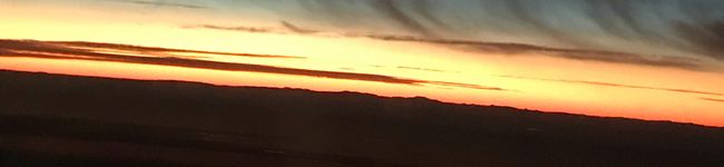 suesy's header image