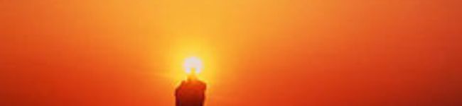 miwacyan's header image