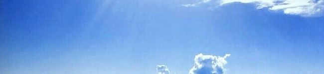 hapi-yellow's header image