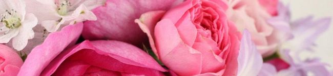 comi3's header image