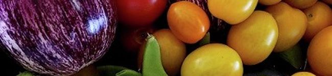Leek0922's header image