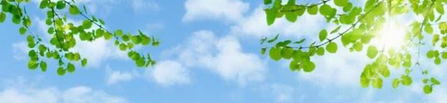 ai♡SNOOPY's header image
