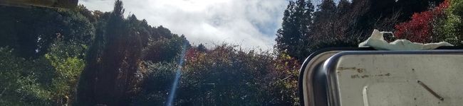 子猫食堂's header image