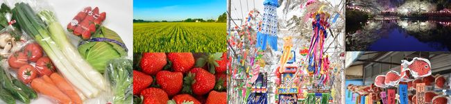 茂原市保健センター's header image