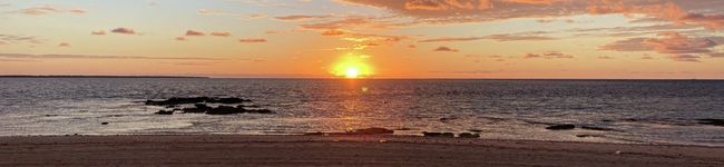 ぐっぴ〜ず's header image
