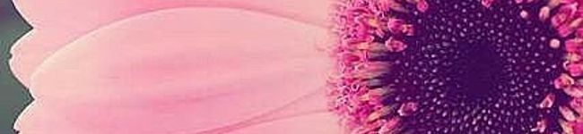 ♡ぁぃぁぃ♡'s header image