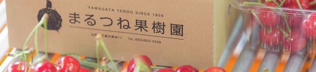 まるつね果樹園's header image