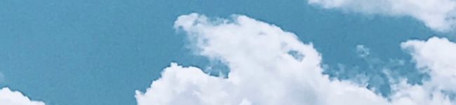 pino's header image